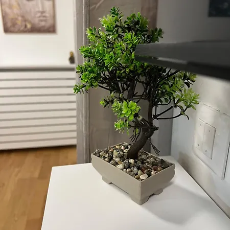 Apartment 54 *